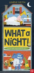 What a Night! (ISBN: 9781805133100)