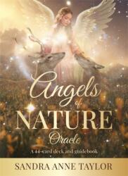 Angels of Nature Oracle (ISBN: 9781401979409)