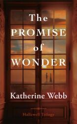 The Promise of Wonder (ISBN: 9781662540844)