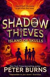 Shadow Thieves: Island of Skulls (ISBN: 9780008667849)
