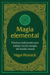 Magia elemental (ISBN: 9798888504215)