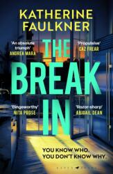 The Break-In (ISBN: 9781526675453)