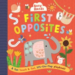 First Opposites (ISBN: 9781805790402)