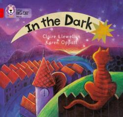 In the Dark (ISBN: 9780007185528)
