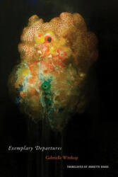 Exemplary Departures - Gabrielle Wittkop, Annette David (ISBN: 9781939663139)