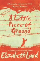 A Little Piece of Ground (ISBN: 9781509887637)