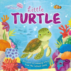 Nature Stories: Little Turtle: Padded Board Book - Gisela Bohórquez (2023)