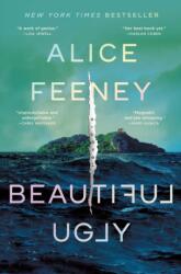 Beautiful Ugly (ISBN: 9781250337788)