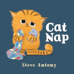 Cat Nap (ISBN: 9781250392220)