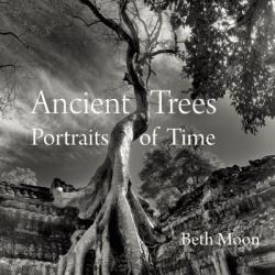 Ancient Trees - Beth Moon (2014)