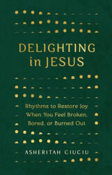 Delighting in Jesus (ISBN: 9780802419507)