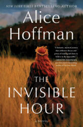 The Invisible Hour - HOFFMAN ALICE (ISBN: 9781982175382)