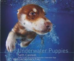 Underwater Puppies (2014)