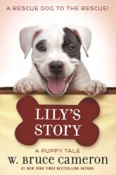 A Lily's Story (ISBN: 9781250213525)