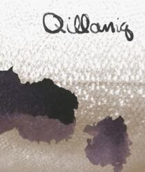 Qillaniq (ISBN: 9781773105086)