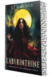 Labyrinthine (ISBN: 9781648985478)