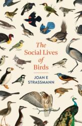 The Social Lives of Birds (ISBN: 9781035417155)