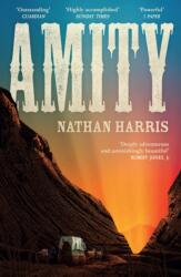 Amity (ISBN: 9781035404698)