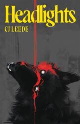 Headlights (ISBN: 9781037410123)