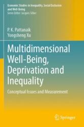 Multidimensional Well-Being, Deprivation and Inequality (ISBN: 9783031620485)