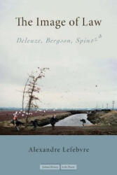 Image of Law - Alexandre Lefebvre (ISBN: 9780804759854)