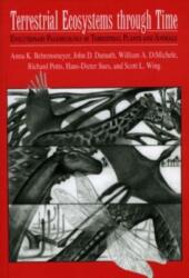 Terrestrial Ecosystems Through Time (ISBN: 9780226041544)