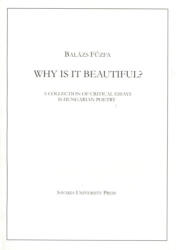 Why is it beautiful? (ISBN: 9786155251320)
