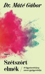 Szétszórt elmék - A figyelemhiány zavar új gyógymódja (ISBN: 9789635720149)