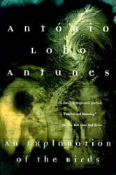 An Explanation of the Birds - Antonio Lobo Antunes, Antunes, Richard Zenith (ISBN: 9780802134202)