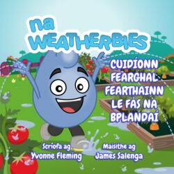Cuidionn Fearghal Fearthainn Le Fas Na Bplandai (ISBN: 9780995533554)