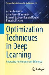 Optimization Techniques for Deep Learning (ISBN: 9783032207029)