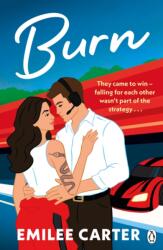 Burn (ISBN: 9781405979054)