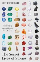 The Secret Lives of Stones (ISBN: 9781529394955)