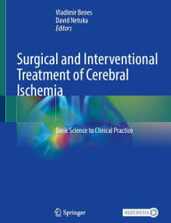 Surgical and Interventional Treatment of Cerebral Ischemia - David Netuka (ISBN: 9783032089335)