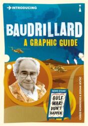 Introducing Baudrillard (ISBN: 9781848312074)