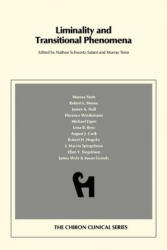 Liminality and Transitional Phenomena - Robert L. Moore, Schwartz-Salant Nathan, Murray Stein (ISBN: 9780933029293)