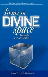 Living in Divine Space - Rabbi Yitzchak Ginsburgh (ISBN: 9789657146064)