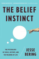 Belief Instinct: The Psychology of Souls Destiny and the Meaning of Life (2012)