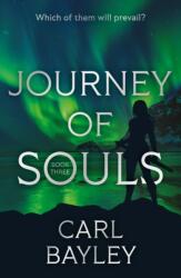 Journey of Souls (ISBN: 9781806343751)