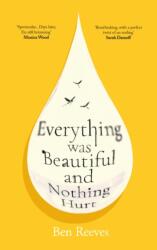 Everything was Beautiful and Nothing Hurt (ISBN: 9781805465799)