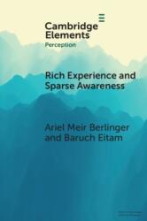 Rich Experience and Sparse Awareness (ISBN: 9781009757089)