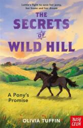 The Secrets of Wild Hill: A Pony's Promise (ISBN: 9781805137665)
