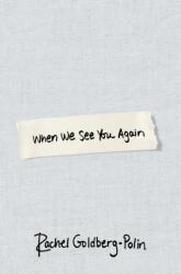 When We See You Again - Rachel Goldberg-Polin (ISBN: 9780349022604)
