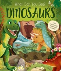What Can You See? Dinosaurs (ISBN: 9781801048330)