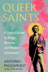 Queer Saints (ISBN: 9781578639076)