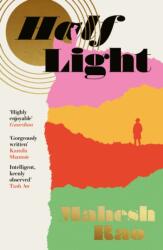 Half Light (ISBN: 9781805337904)