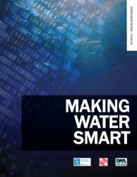 Making Water Smart (ISBN: 9781789062816)