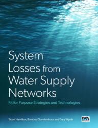 Improving Water Supply Networks: Fit for Purpose Strategies and Technologies (ISBN: 9781780409191)