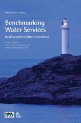 Benchmarking Water Services (ISBN: 9781789065190)