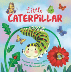 Little Caterpillar - Gisela Bohórquez (ISBN: 9781837716692)